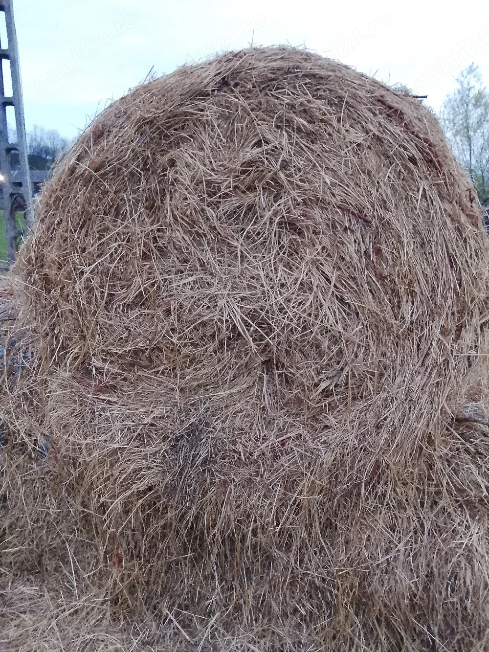 vând 5 baloți rotunzi 