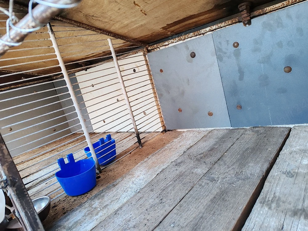 Cușcă pentru iepuri 