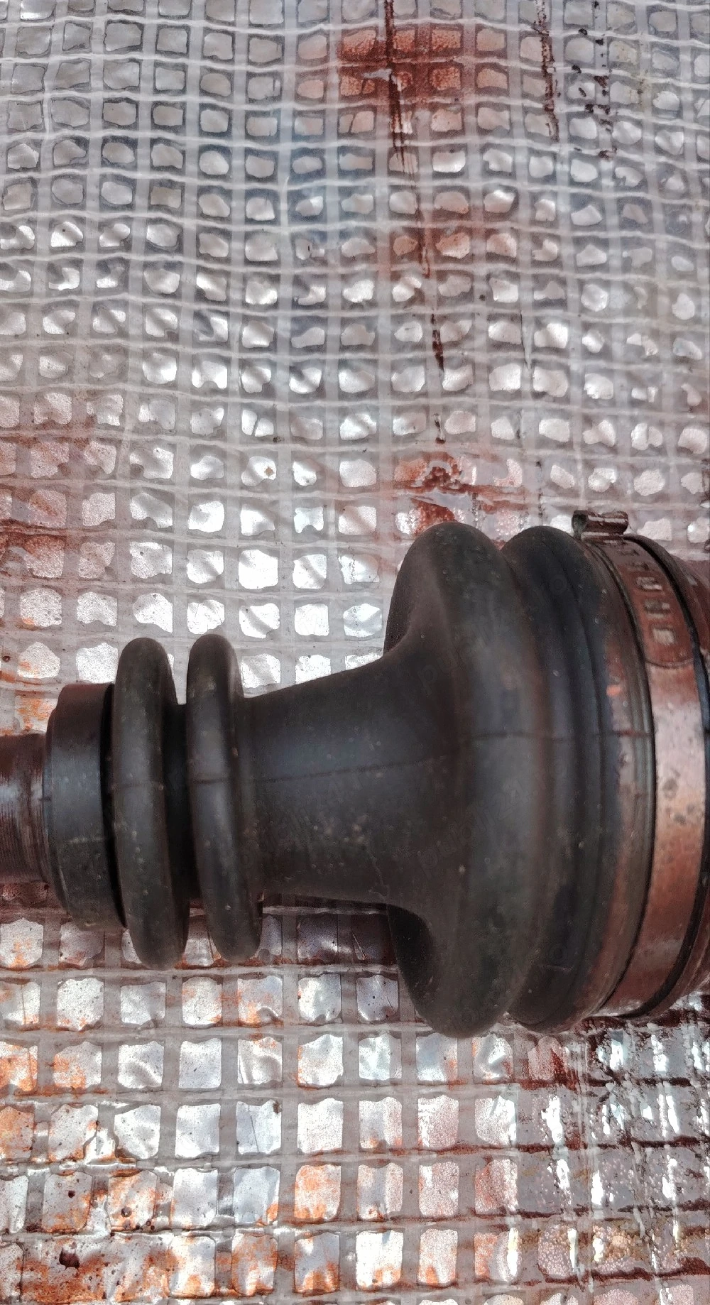 Planetara Dacia. Noua