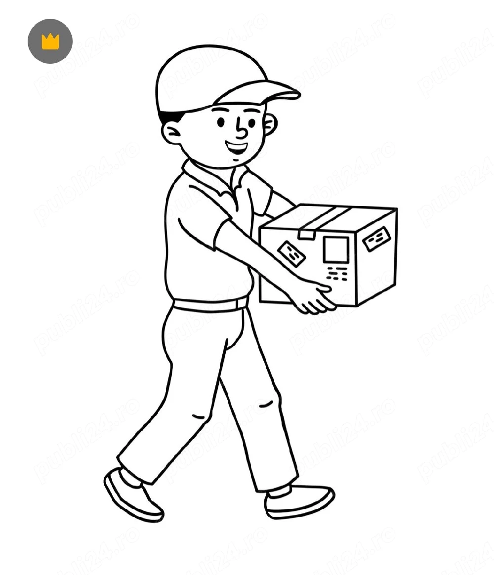 Curier Rapid Local   Livrare Document