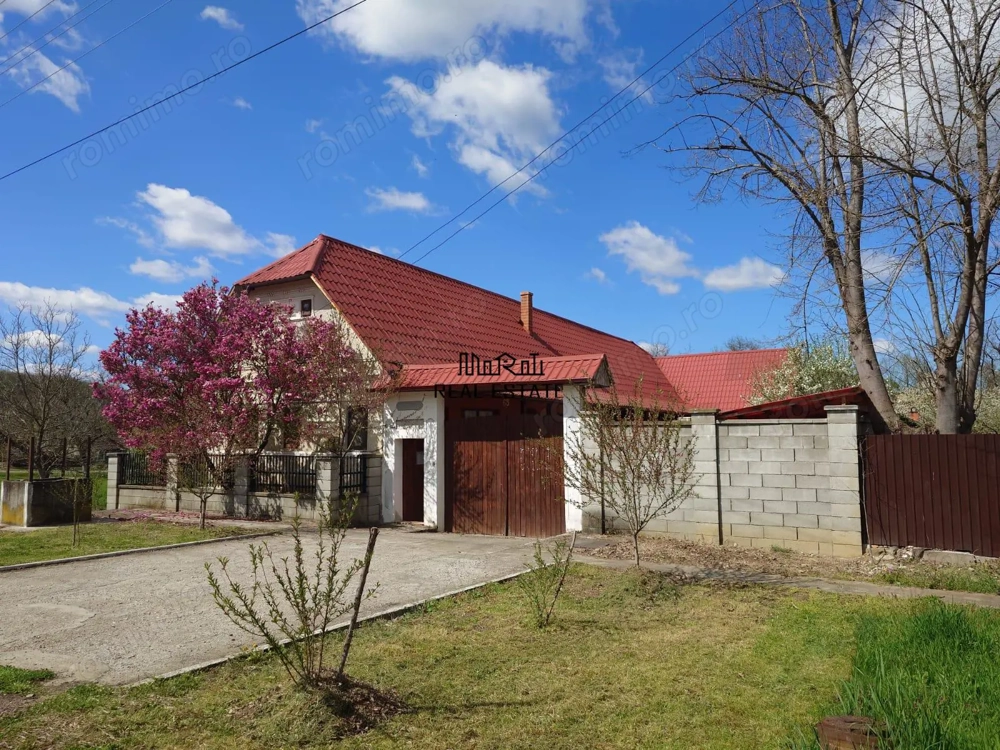 Casa cu gradina si foisor in Brazii Arad