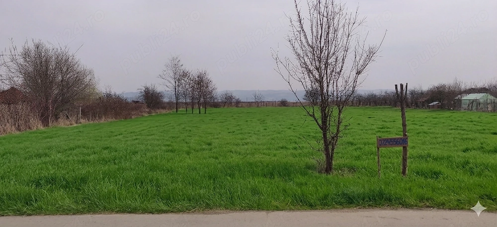 Teren intravilan casa Mehedinta Prahova