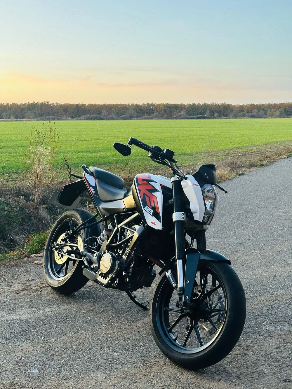 Ktm Duke 125cc din 2011