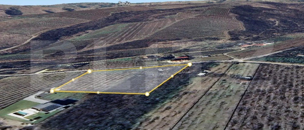 Teren Vanzare Plopu(GALMEIA)Oportunitate Investitie-DEZVOLTATOR IMOBILIAR