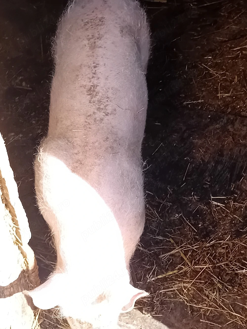 vand grasuna 40 k landras 