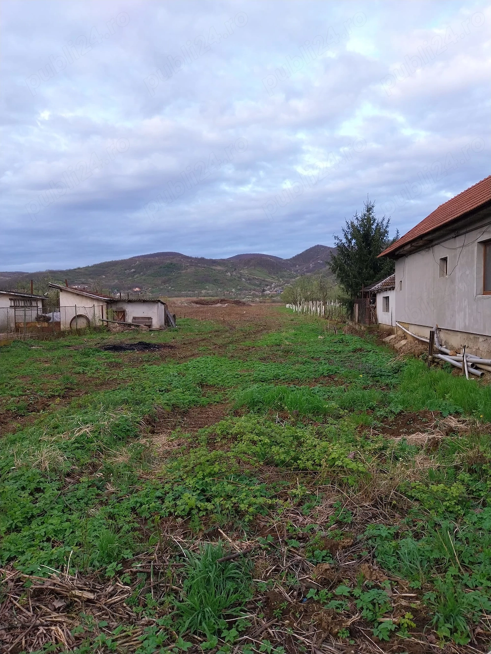 Vand teren intravilan 1,45 ha.