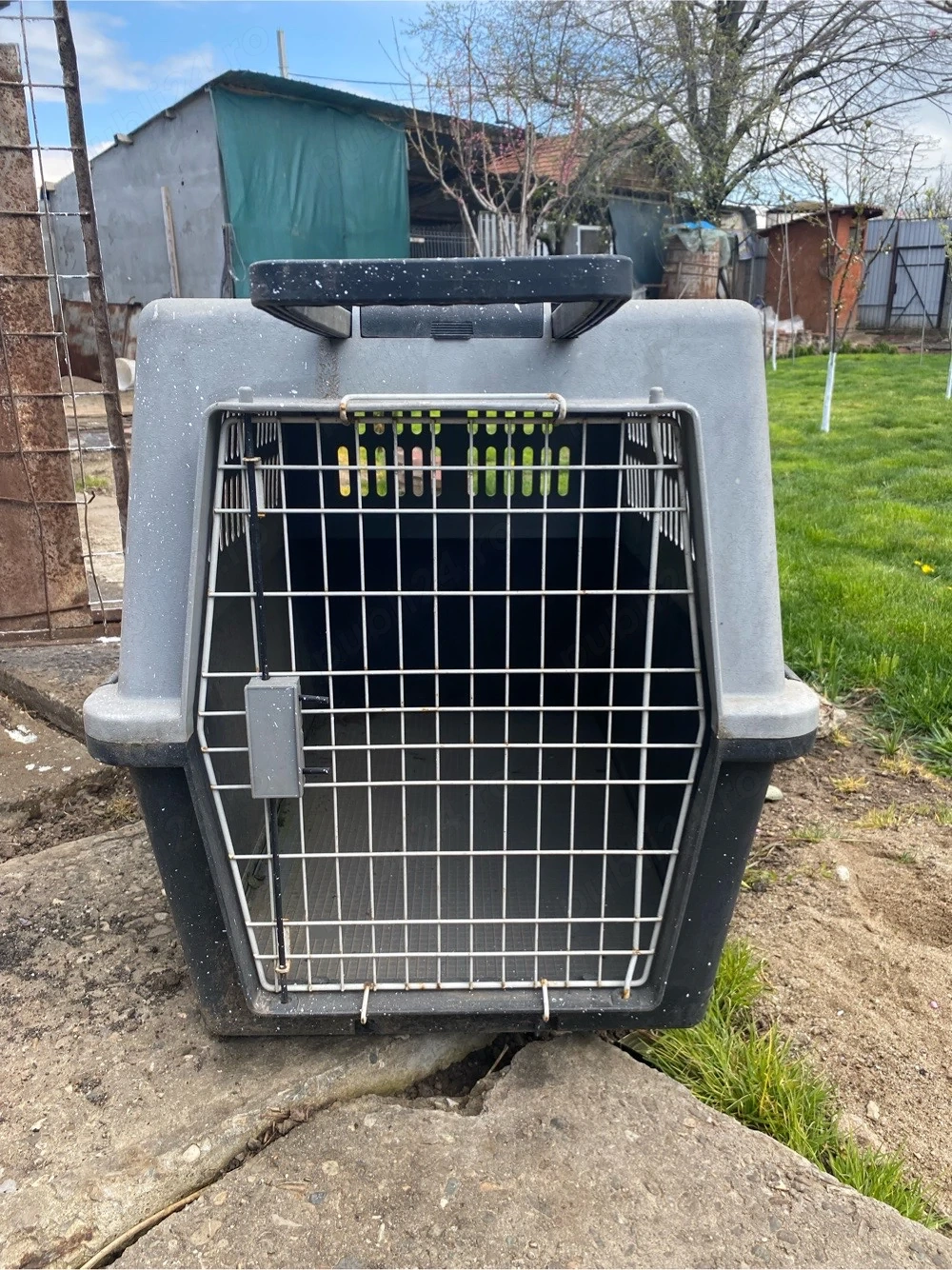 Cusca transport caini