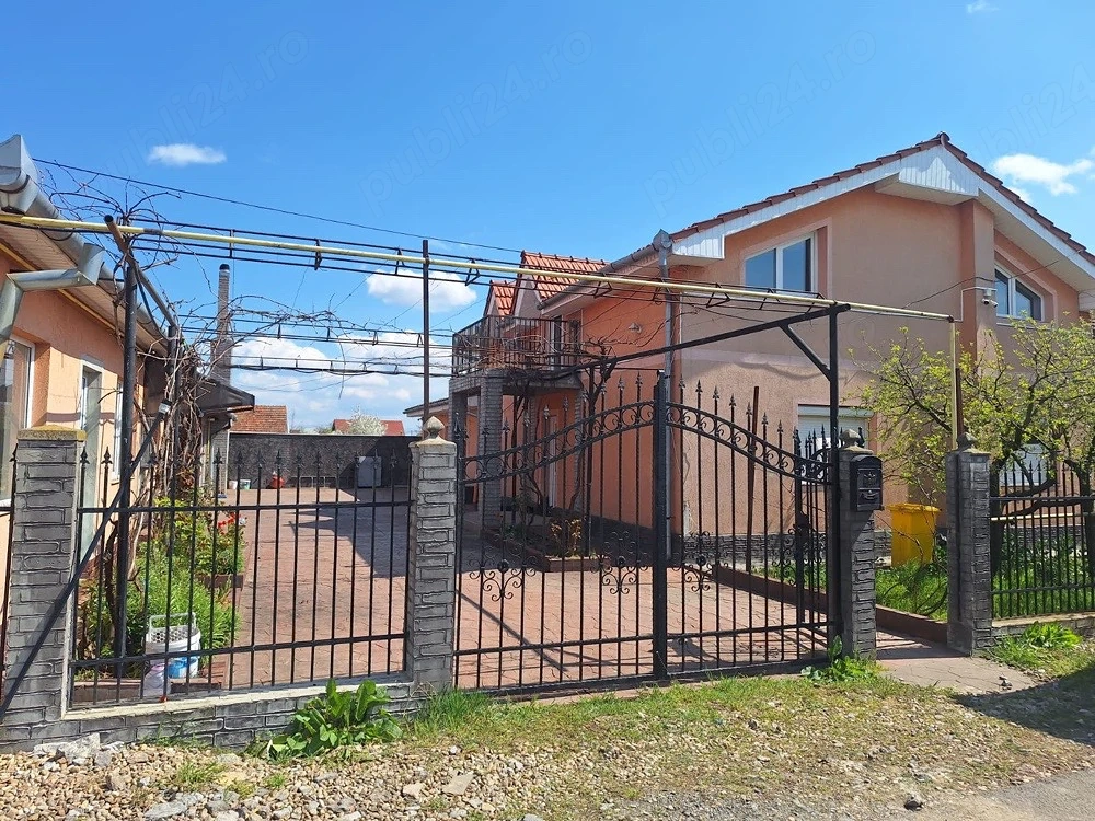 casa de vanzare borș