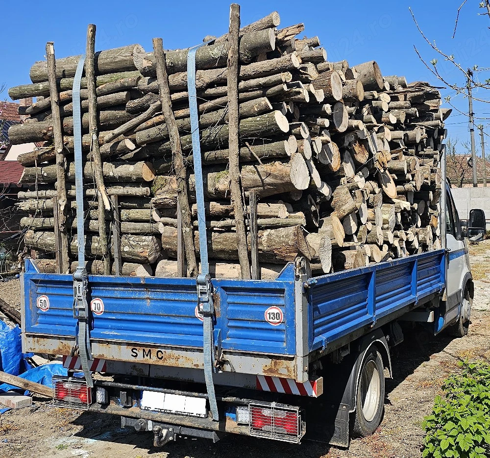 Lemn de foc Întreg sau Taiat si Crapat