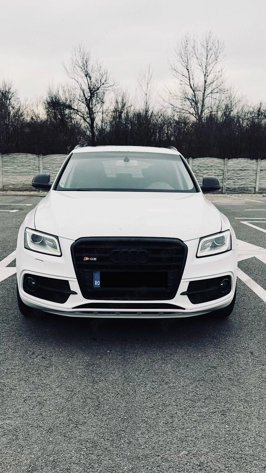 Audi SQ5   2015 3.0 313 cp Maxhaust 