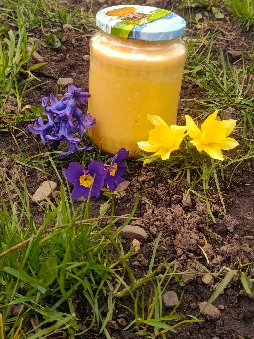  Miere polifloră  