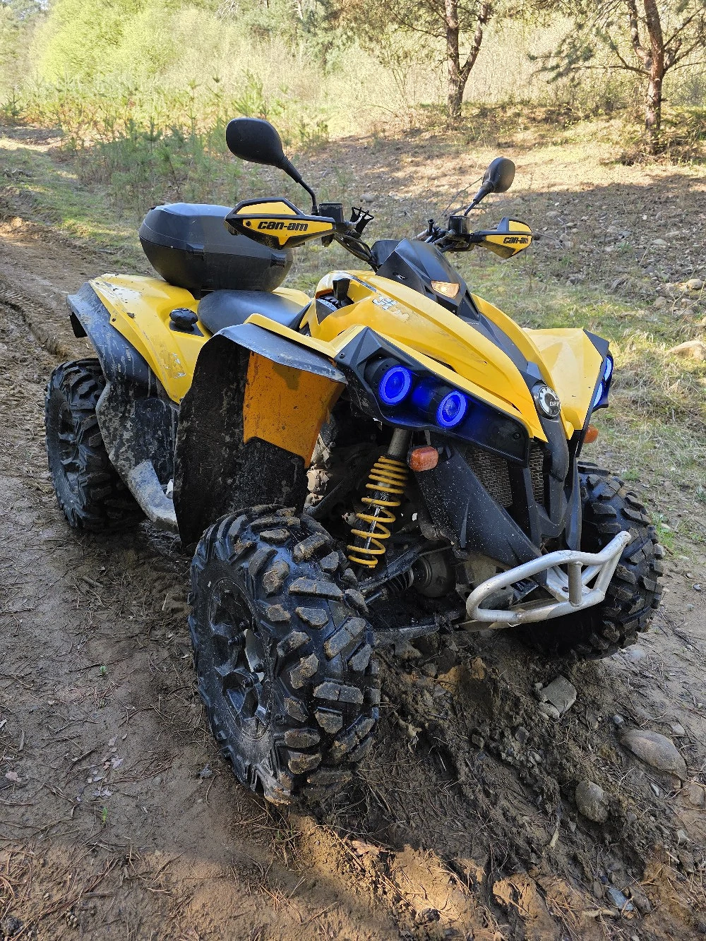 can am renegade 800