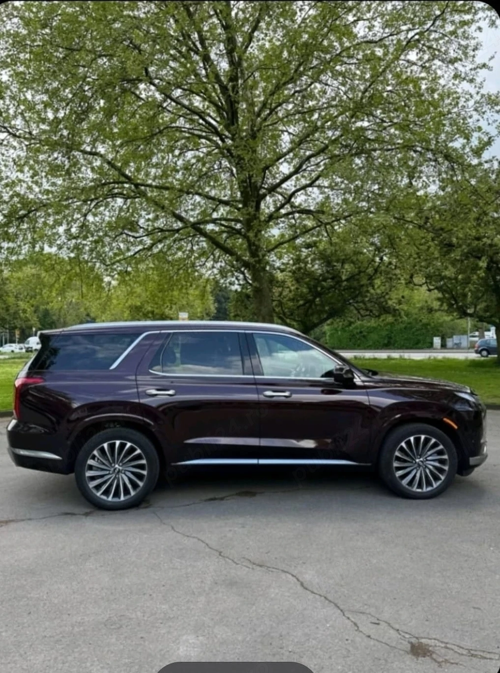 Hiunday paliady caligraphy 2024