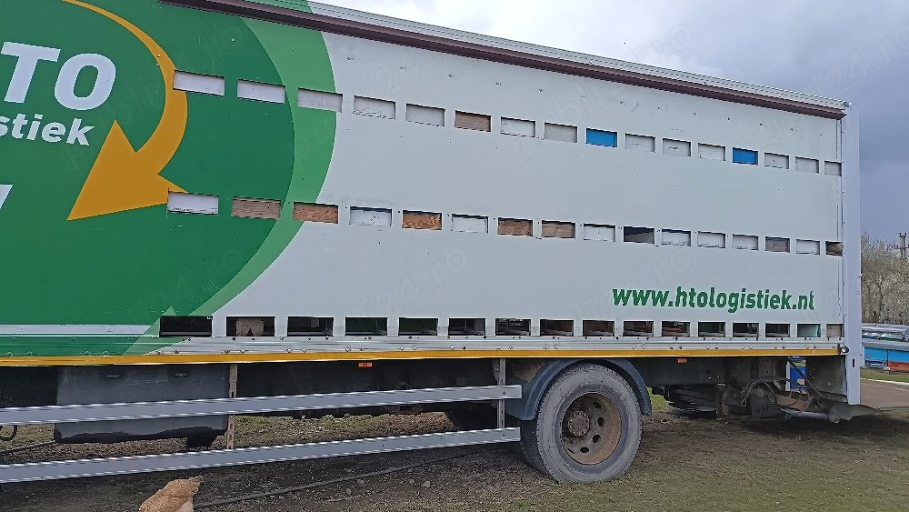 Vând camion sau schele cu tot cu cuti 