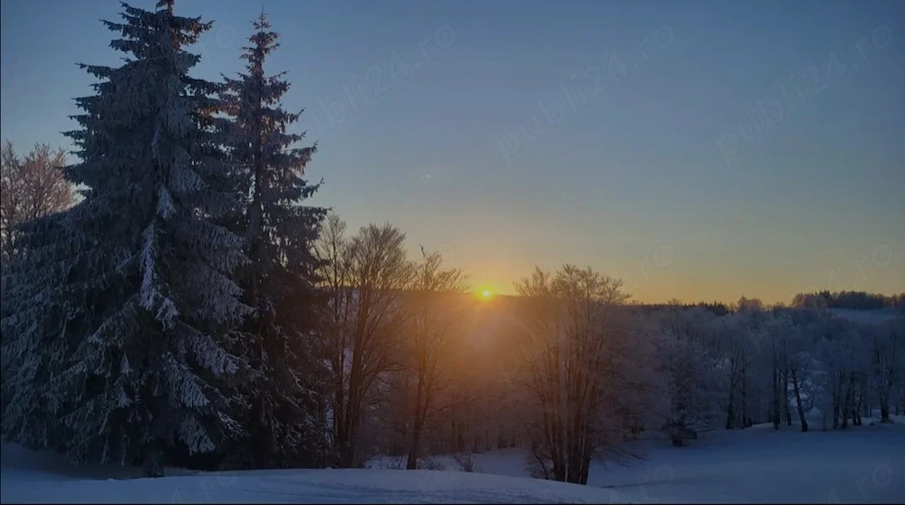 Dau en arenda gradina 500 m"NiCOLiNA