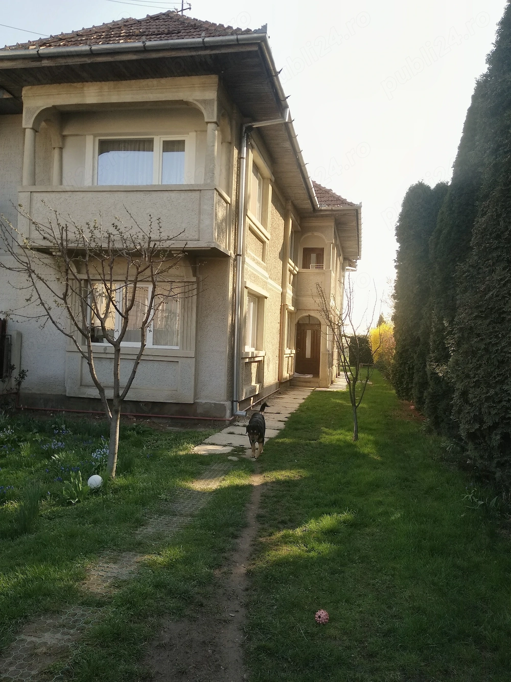 casă de vânzare Făgăraș