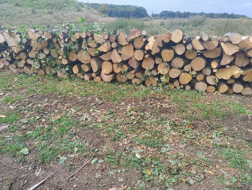 vand lemne de foc esenta tare carpen cu stejar transport acasa 