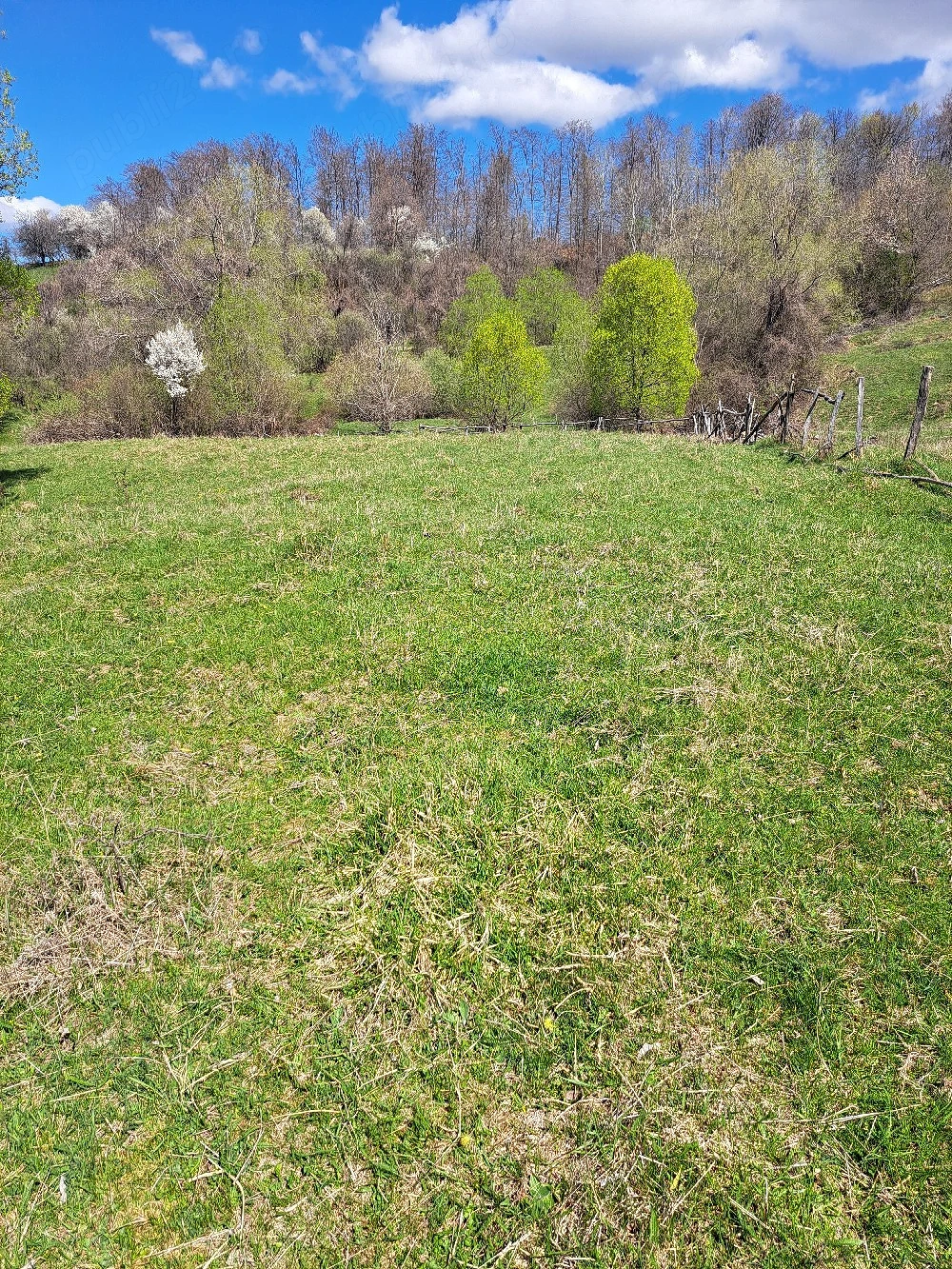 teren intabulat extravilan 3500m