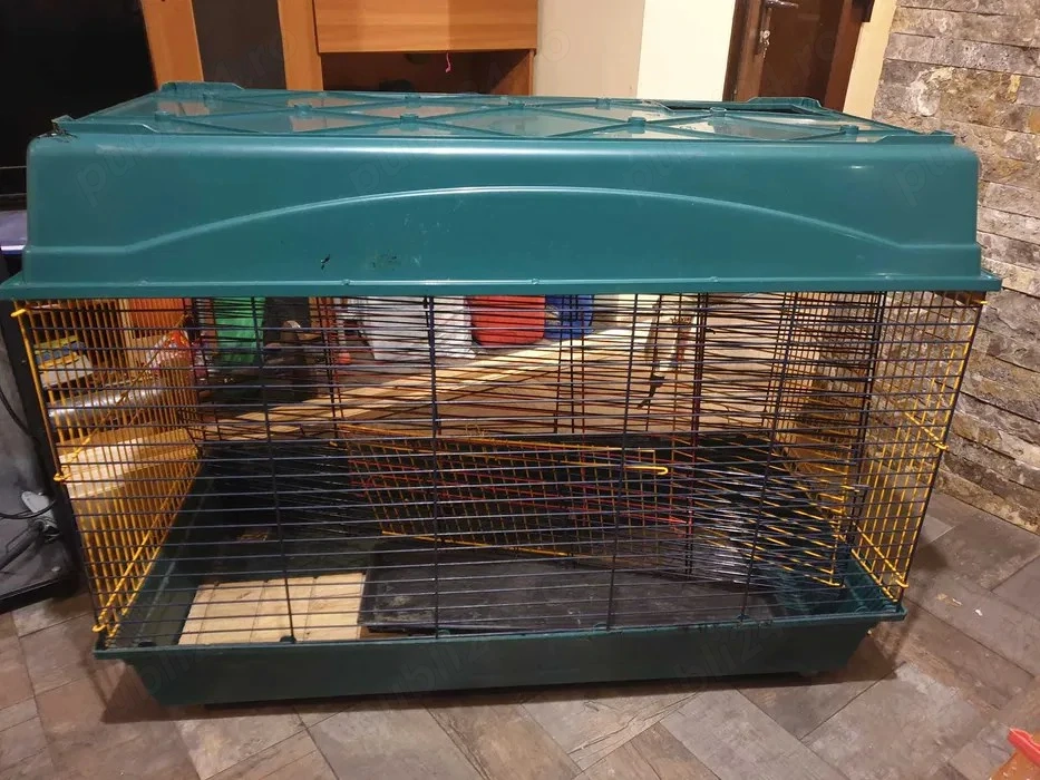 Cusca animale de companie