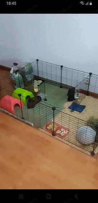 Cutie   tarc plexiglas