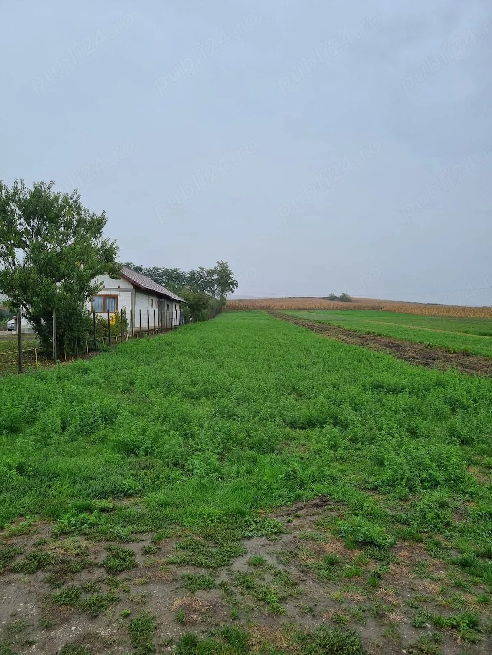 Vând teren intravilan