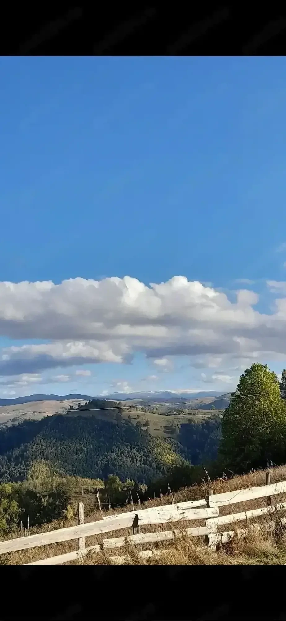 Vand teren( ideal pentru cabana sau casa de vacanta ) 