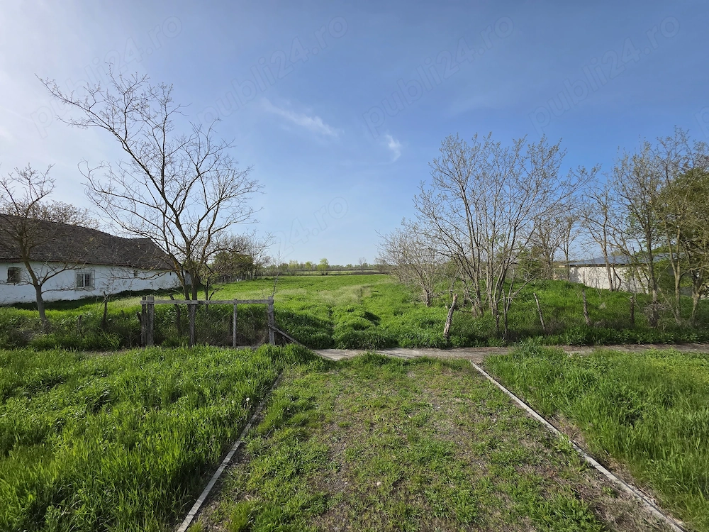 Teren Generos 5.528 mp   Sânmartinu Maghiar | Toate Utilitățile & Asfalt