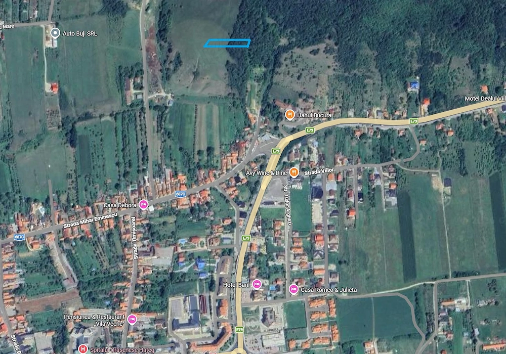 Vand schimb teren extravilan Hateg, panorama de nota 10 (la 10 min de mers pe jos de centru)