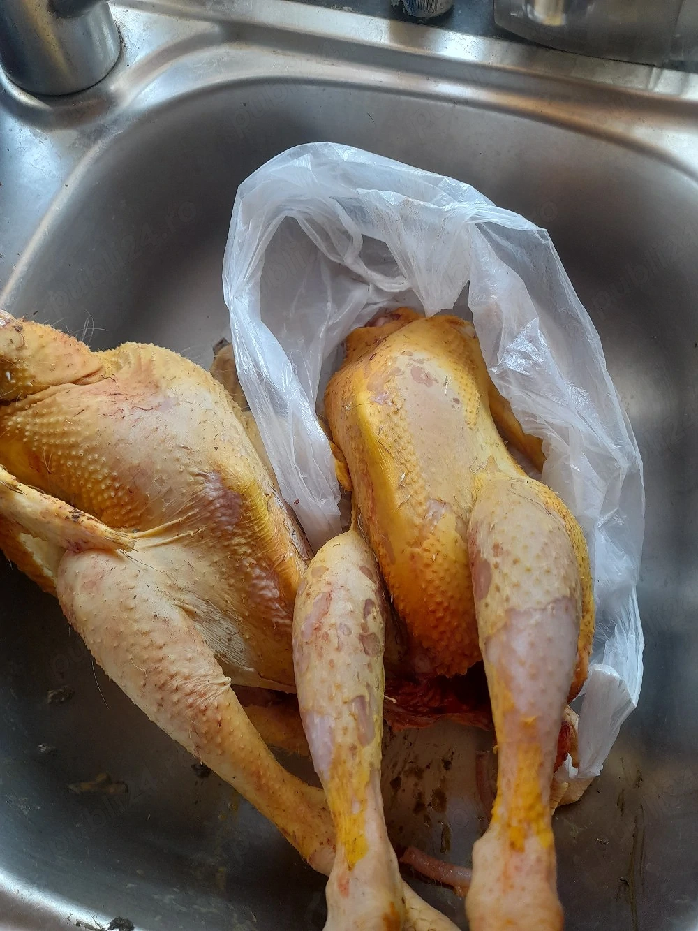 Vand cocosii de 6 luni 1400 grame bio,organic 