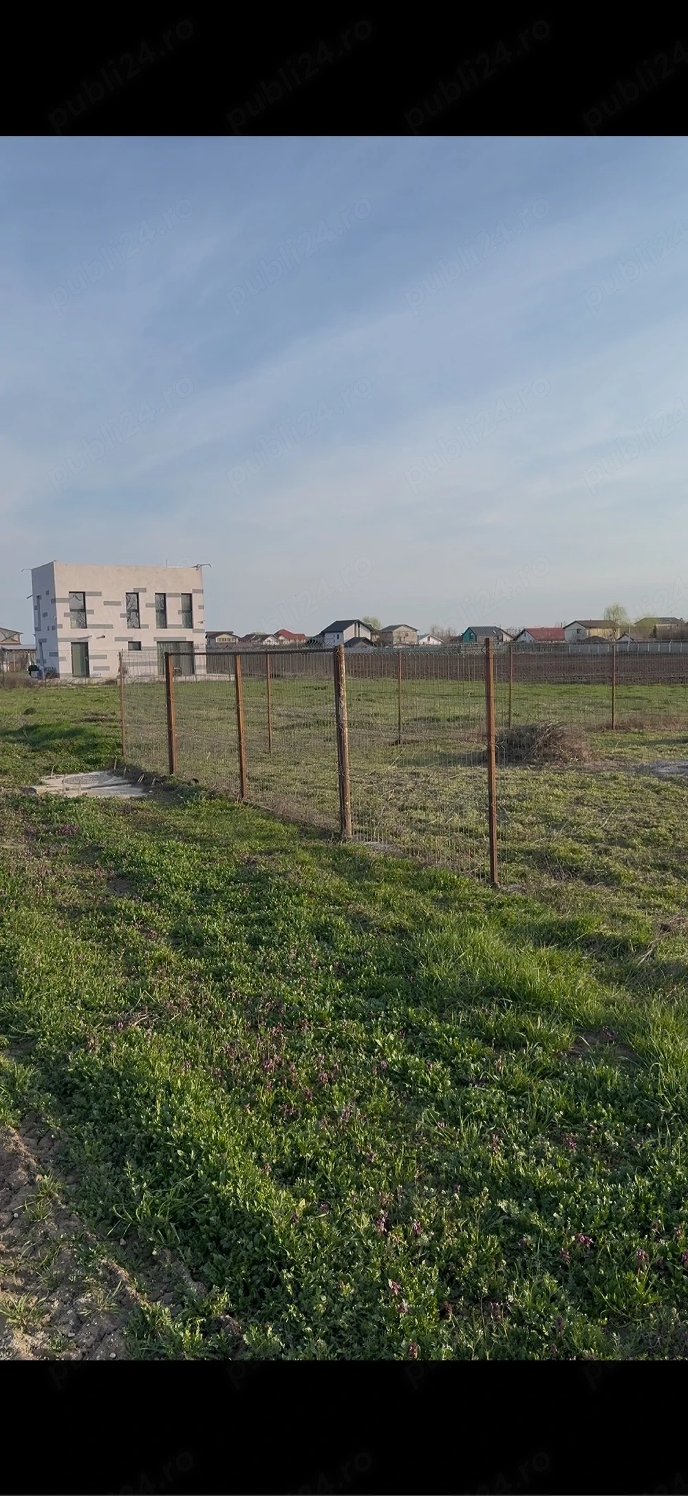 Teren Clinceni Ilfov-441 mp