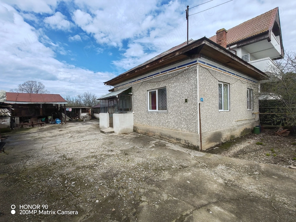 Proprietate cu 2 case, livadă, vie și teren 1450 mp
