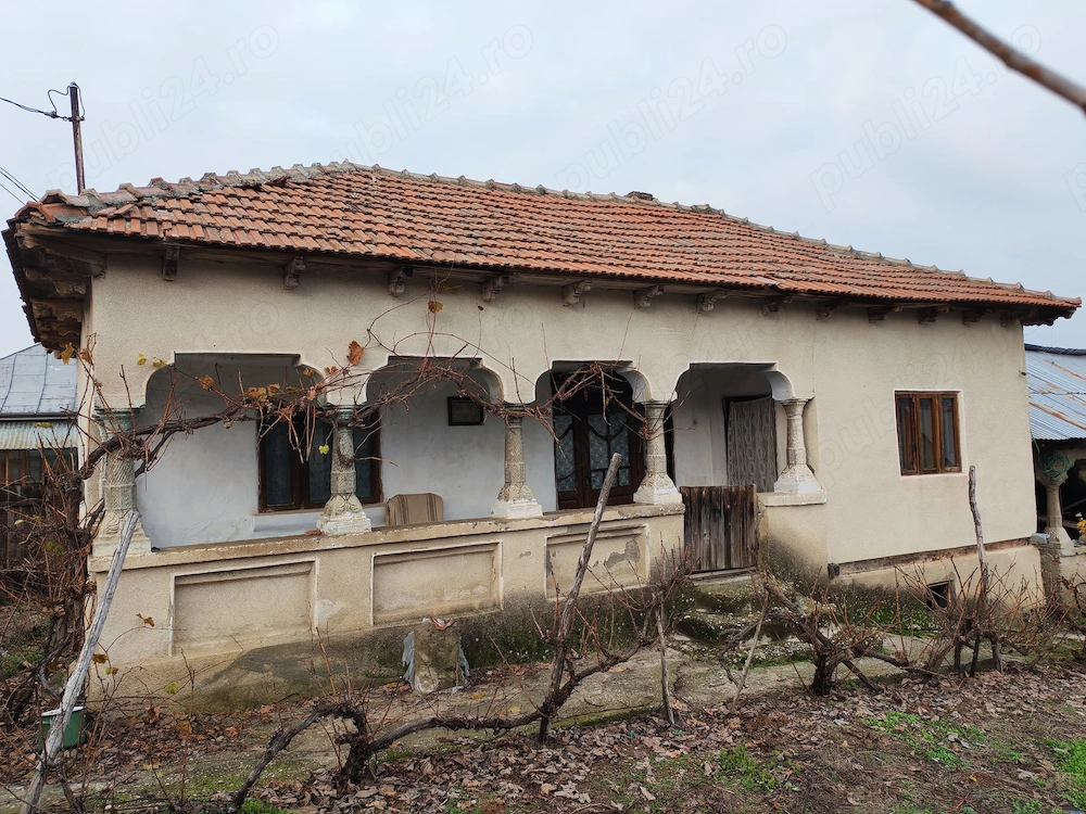 Casa bătrâneasca Sutesti