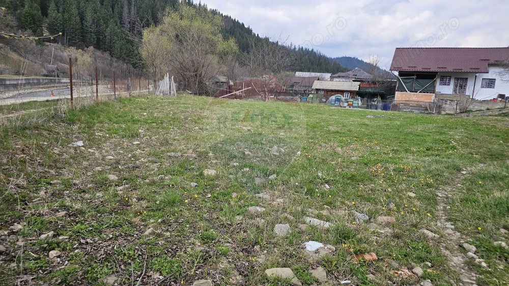Teren 1,520mp Hangu / Strada Principala