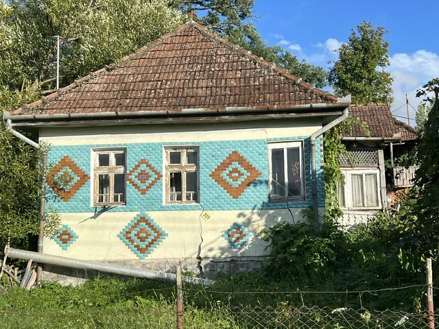 Casa si anexe, teren 5000 mp Mineu, Salaj