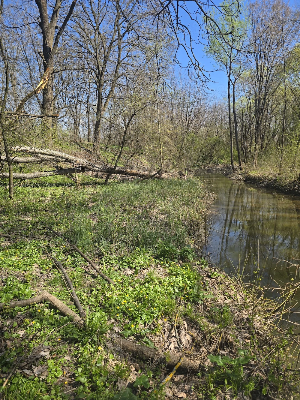  De vânzare teren deosebit   Calugareni  Mereni, comuna Contești 