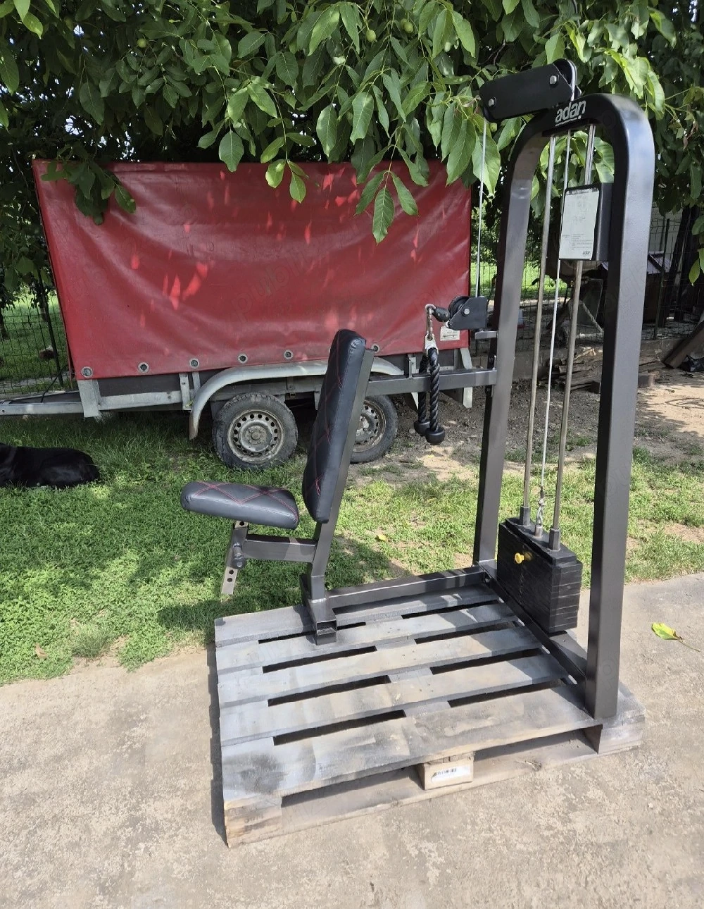 Aparat extensii triceps  Overhead triceps extension !!!