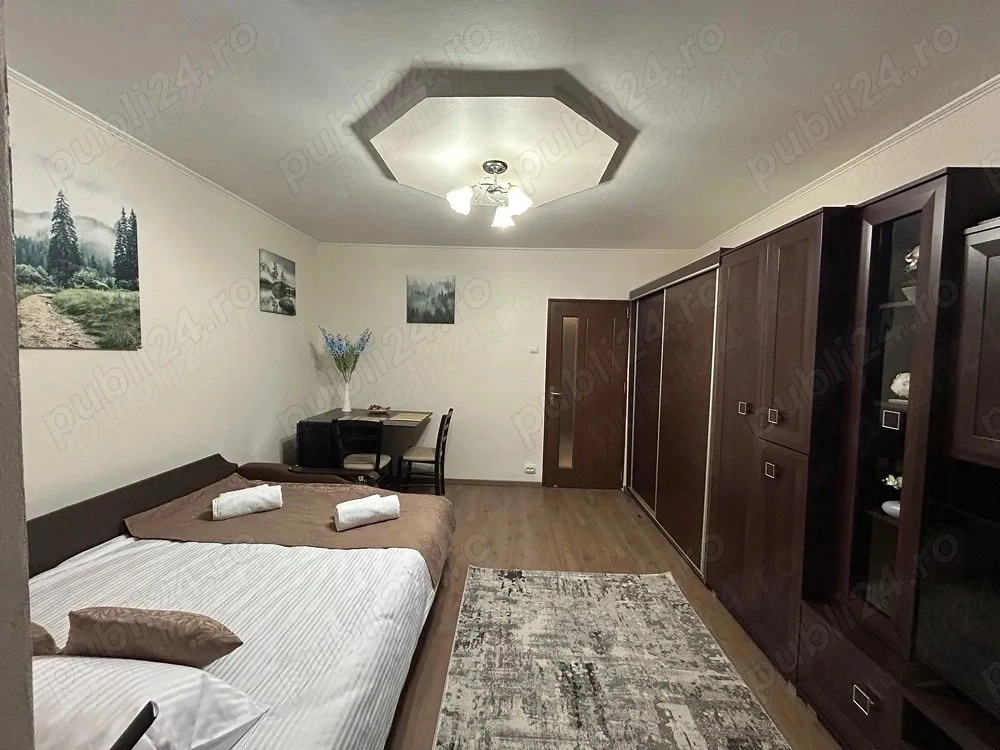 garsoniera titan policlinica park iore