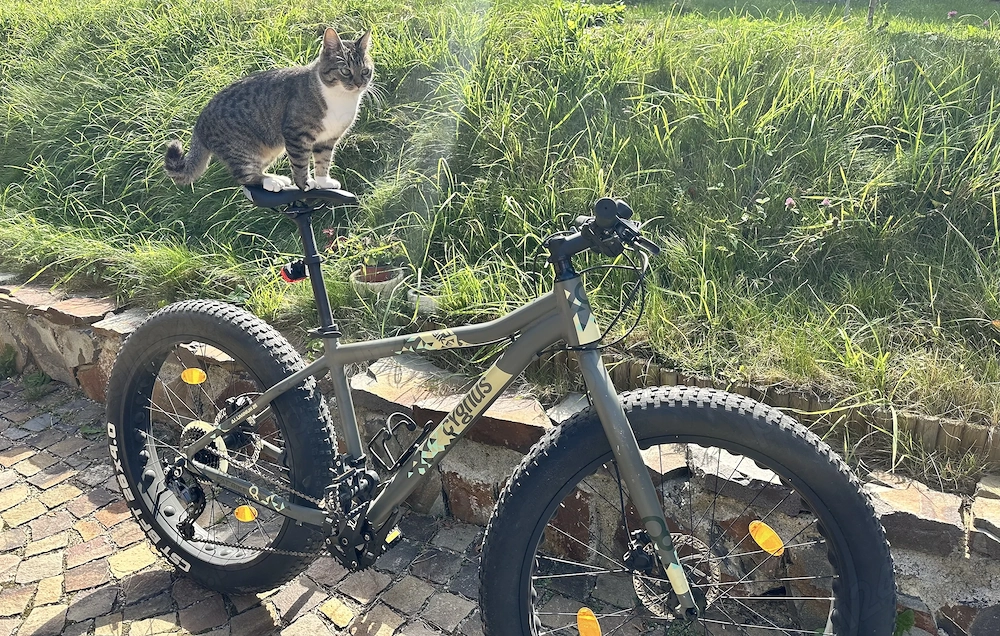 Bicicletă Cygnus Fat Bike    Putin folosită   roți 26.4
