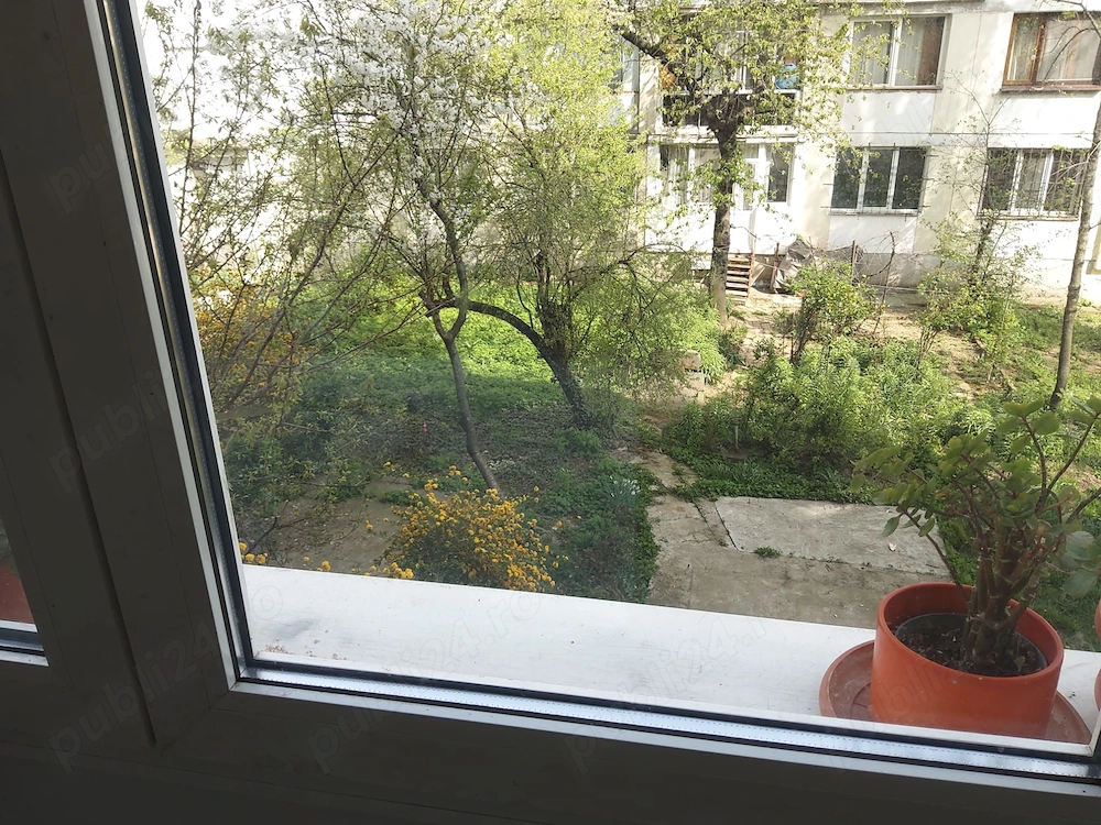 3 camere Almasul Mare etaj 1