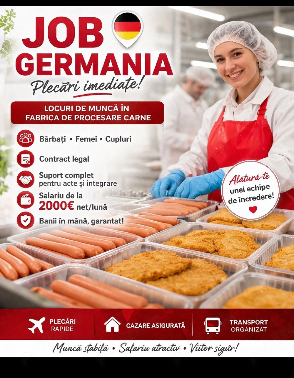 Locuri de muncă in Germania și Austria in abatoare și construcții 