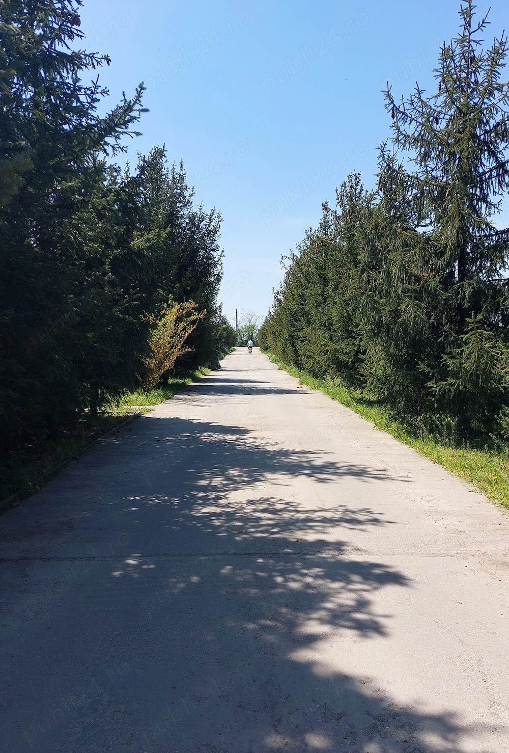 Otopeni- Patinoar Țiriac 