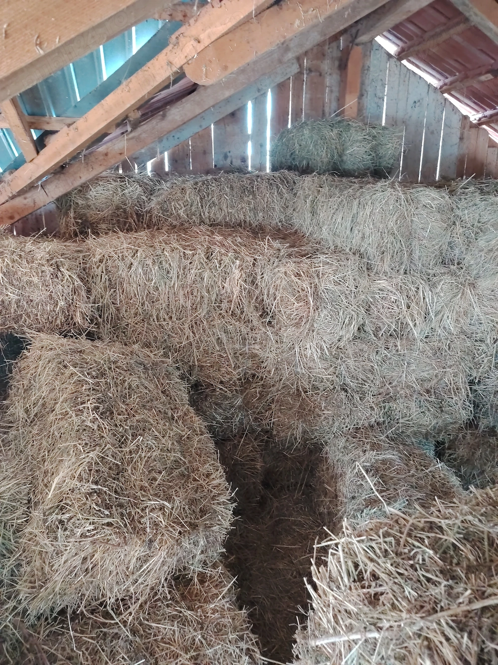  Vand baloti de fân cu lucerna