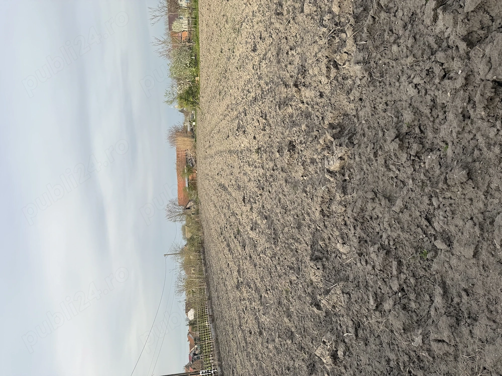 Teren intravilan com checea jud timis 