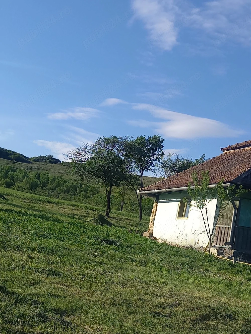 casa la tara de vânzare 