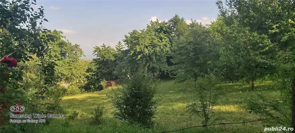 Teren de vanzare