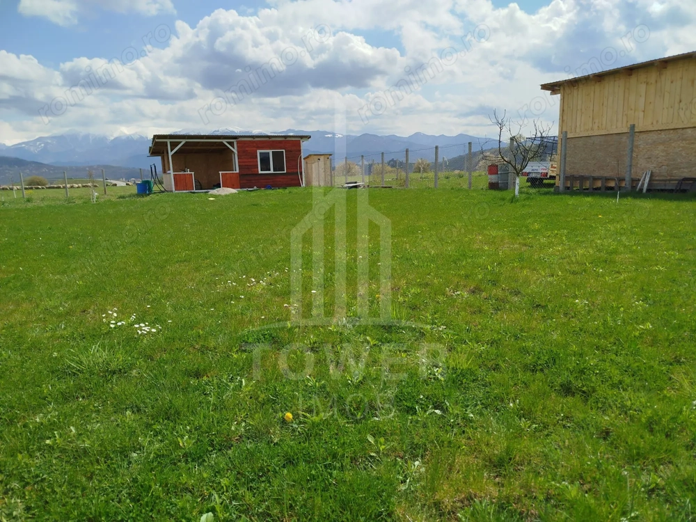 Grădină 862 mp cu cabanuta și pomi fructiferi – între Tălmaciu și Sadu