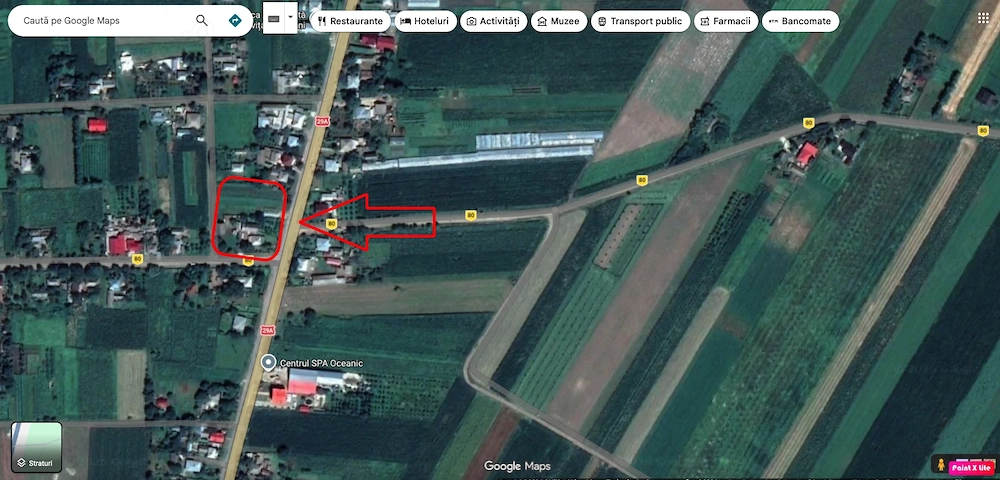 De vanzare casa + teren - Dumbravita, Botosani