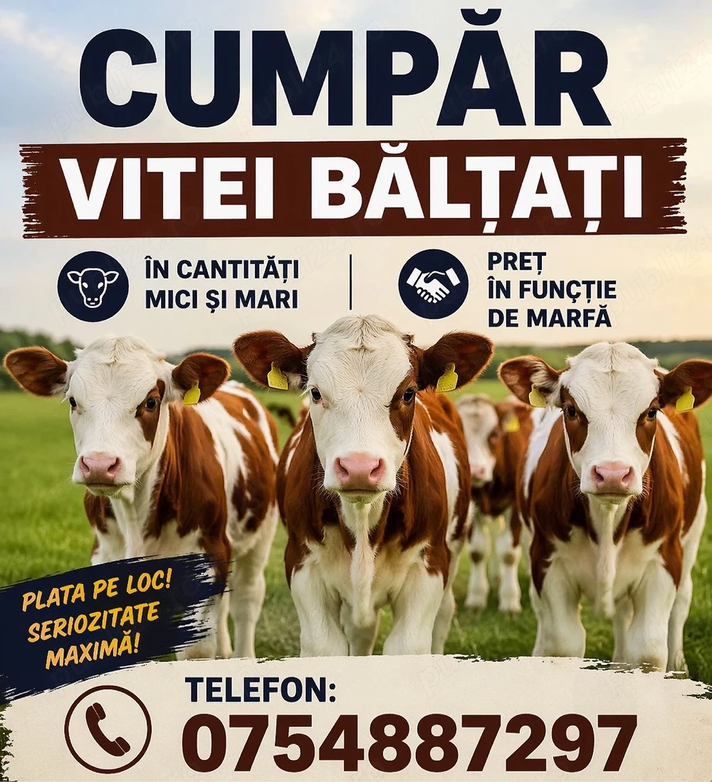 vitei baltati