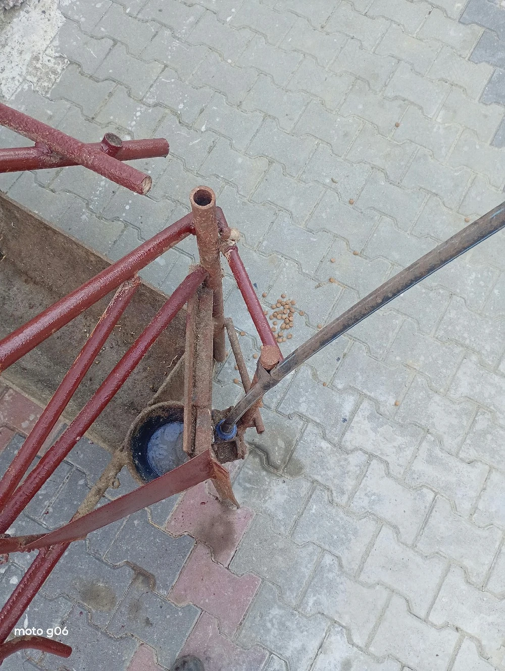 Cușcă pentru fătare a porcilor 