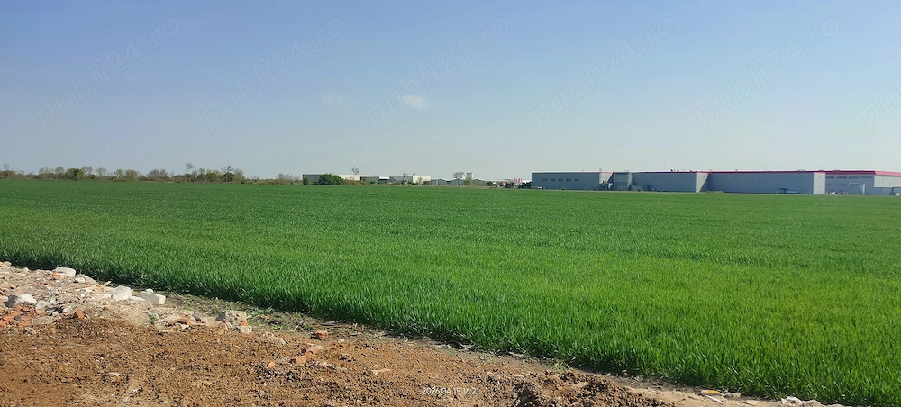 Teren Industrial Aradului-Sânandrei de vânzare 